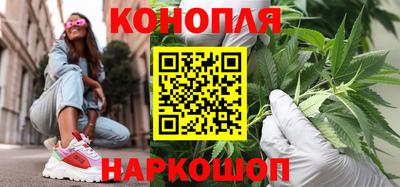 стаф Бузулук