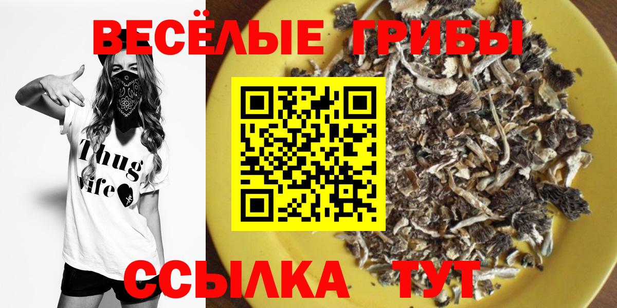 Кушва  Псилоцибиновые грибы мицелий  Вход с VPN 