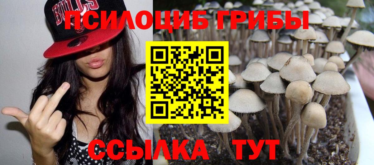 Псилоцибиновые грибы Cubensis Кушва